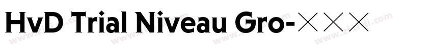 HvD Trial Niveau Gro字体转换
